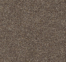 Ковролин AW Stainguard Harvest 42 фото 1 | FLOORDEALER